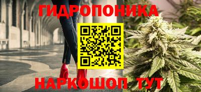 мяу мяу мука Ипатово